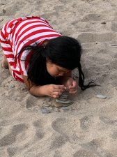 A Beautiful Learning Experience